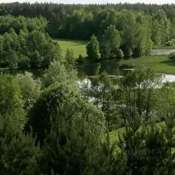 Участок в Нижегородская область, Нижний Новгород д. Кривая Шелокша,  ...