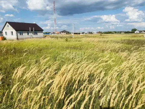 Участок в Тамбовская область, Тамбовский муниципальный округ, с. ...