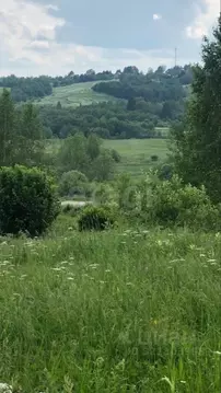 Участок в Владимирская область, Александровский муниципальный округ, ...