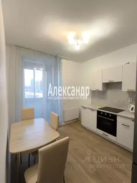 1-к кв. Санкт-Петербург пос. Парголово, ул. Новокузнецкая, 8 (34.7 м)