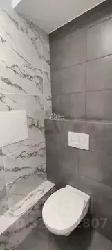 2-к кв. Калужская область, Калуга Аллейная ул., 19 (63.6 м)