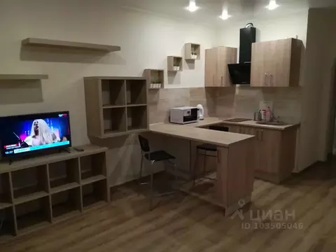 Студия Башкортостан, Уфа ул. Рудольфа Нуреева, 6 (30.0 м)