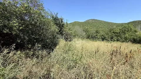 Участок в Крым, Судак муниципальный округ, с. Лесное ул. Голубая ...