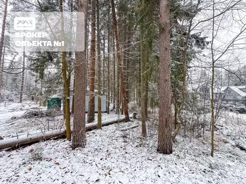 Участок в Санкт-Петербург, Санкт-Петербург, Зеленогорск ул. 2-я Лесная ...