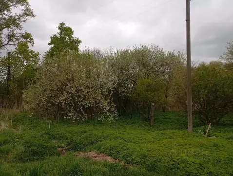 Участок в Владимирская область, Собинский муниципальный округ, с. ...