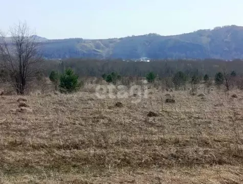 Участок в Алтайский край, Алтайский район, Айский сельсовет, ...