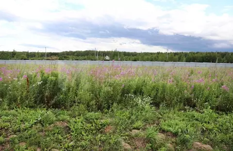 Участок в Тюменская область, Тюменский муниципальный округ, с. Кулига  ...