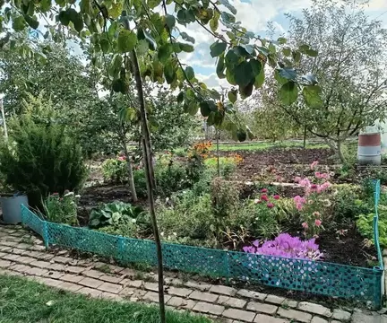 Участок в Марий Эл, Медведевский район, Шойбулакское с/пос, Фиалка СТ ...