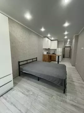 Студия Ростовская область, Ростов-на-Дону Береговая ул., 73с2 (28.0 м)