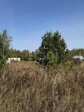 Участок в Тюменская область, Нижнетавдинский район, д. Московка просп. ...