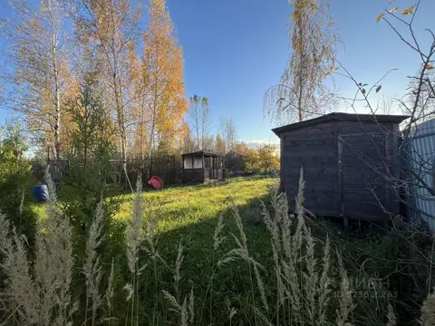 Участок в Санкт-Петербург Сергиево тер., ул. Красная (5.3 сот.)