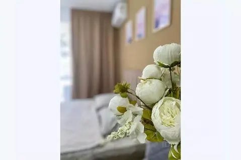 1-к кв. Курская область, Курск ул. Энгельса, 115А/3 (28.0 м)