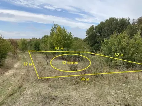 Участок в Крым, Симферопольский район, Мазанское с/пос, с. Опушки  ...
