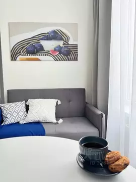 Студия Санкт-Петербург пос. Стрельна, просп. Буденного, 20к1 (25.3 м)