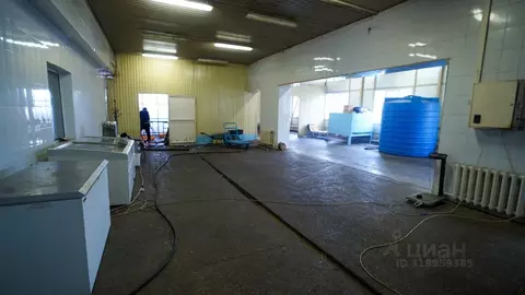 Помещение свободного назначения в Камчатский край, Елизовский район, ...