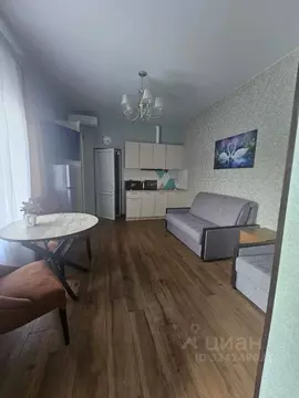 1-к кв. Краснодарский край, Сочи ул. Просвещения, 132 (25.0 м)