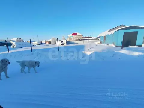 Участок в Ямало-Ненецкий АО, Новый Уренгой Фемида СНТ, ул. 1-я ...