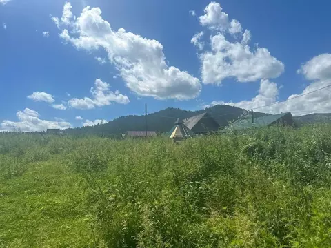 Участок в Алтай, Чемальский район, с. Бешпельтир Елендинская ул., 10 ...