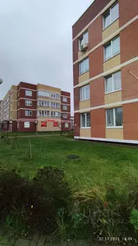 2-к кв. Московская область, Истра муниципальный округ, д. Высоково ...