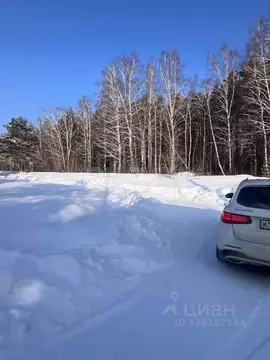 Участок в Новосибирская область, Новосибирский район, Барышевский ...