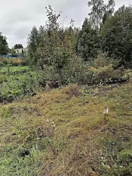 Участок в Ленинградская область, Выборгский район, Гончаровское с/пос, ...