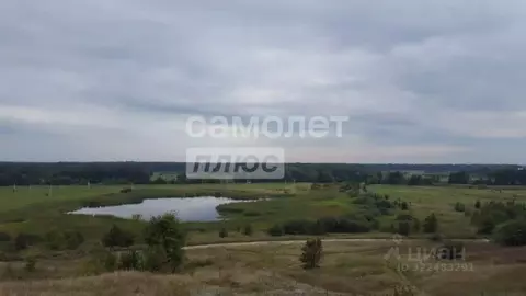 Участок в Воронежская область, Рамонский район, с. Березово ...