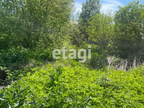 Участок в Костромская область, Красносельский район, Гридинское с/пос, ...