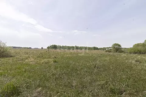 Участок в Тюменская область, Ялуторовский муниципальный округ, ...