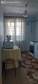 2-комнатная квартира: село Новое Никулино, Молодёжная улица, 5 (50.33 ...