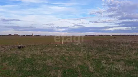 Участок в Крым, Сакский район, Молочненское с/пос, с. Витино  (50.0 ...