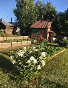 Дом в Алтайский край, Первомайский район, Сосняк СНТ 468 (35 м)