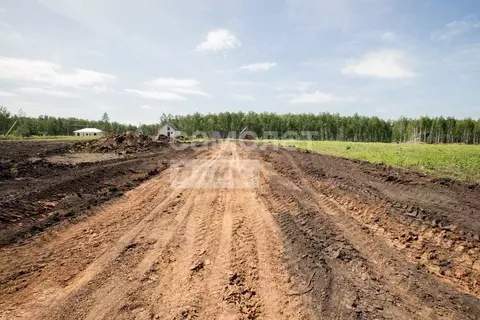 Участок в Челябинская область, Сосновский район, Кременкульское с/пос, ...