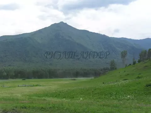 Участок в Алтай, Усть-Коксинский район, с. Катанда  (930.36 сот.)