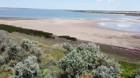 Участок в Крым, Черноморский район, с. Межводное  (6.0 сот.)