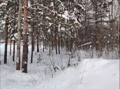 Участок в Московская область, Ликино-Дулево Орехово-Зуевский городской ...