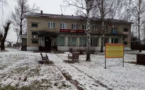 Помещение свободного назначения в Нижегородская область, Тонкино рп ...