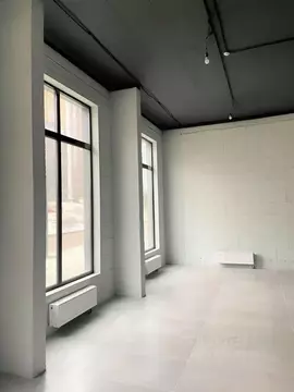 Помещение свободного назначения в Москва просп. Магеллана, 3 (46 м)