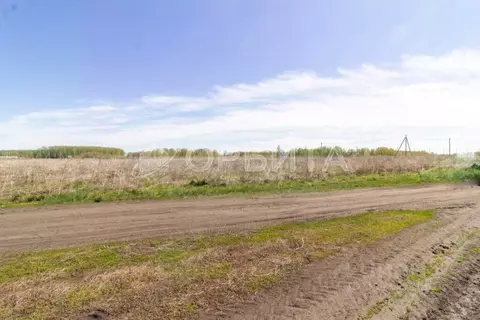 Участок в Тюменская область, Тюменский район, с. Червишево  (9.0 сот.)