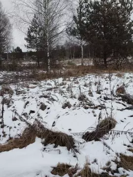 Участок в Ярославская область, Переславль-Залесский муниципальный ...