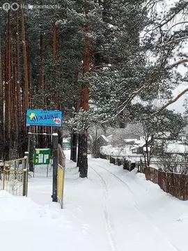 Дом в Челябинская область, Кусинский муниципальный округ, СНТ Лужайки ...