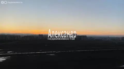 Квартира-студия: Мурино, Воронцовский бульвар, 17 (20.5 м)