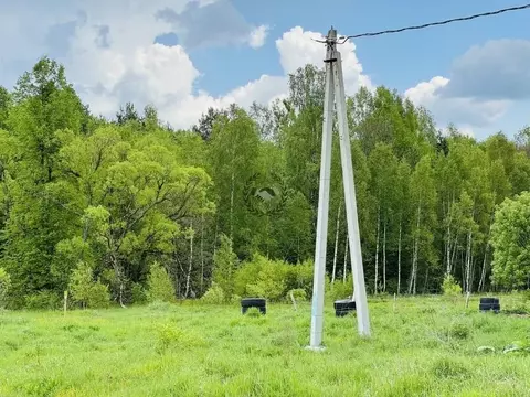 Участок в Калужская область, Дзержинский район, Старки с/пос, д. Бели  ...