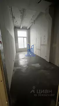 Помещение свободного назначения в Санкт-Петербург Дачный просп., 17К2 ...