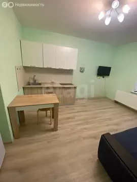 Квартира-студия: посёлок Шушары, Старорусский проспект, 13к1 (23.6 м)