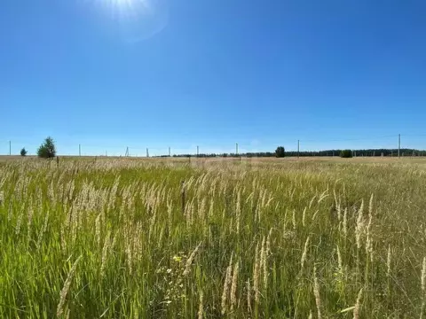 Участок в Татарстан, Балтаси пгт ул. Ялкын, 6 (10.0 сот.)