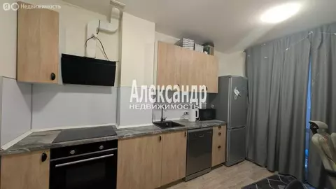 1-комнатная квартира: Санкт-Петербург, Пискарёвский проспект, 145к5 ...