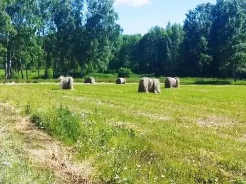 Участок в Тульская область, Ясногорский район, Иваньковское с/пос, ...