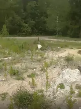 Участок в Брянская область, Жуковский муниципальный округ, с. Ржаница ...