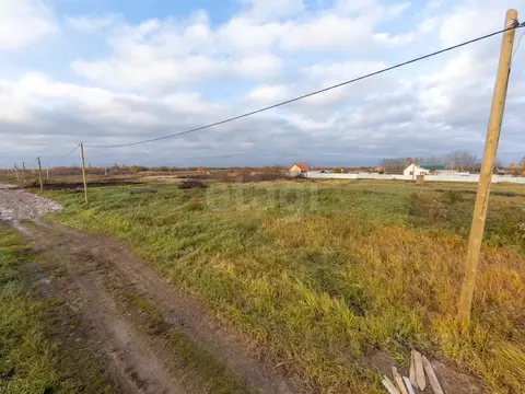 Участок в Тюменская область, Тюмень Огонек СНТ, ул. Цветочная, 67 (9.8 ...