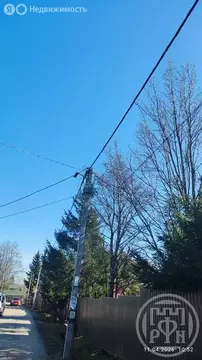 Дом в Пениковское сельское поселение, СНТ Флора-2, 8 (43 м)